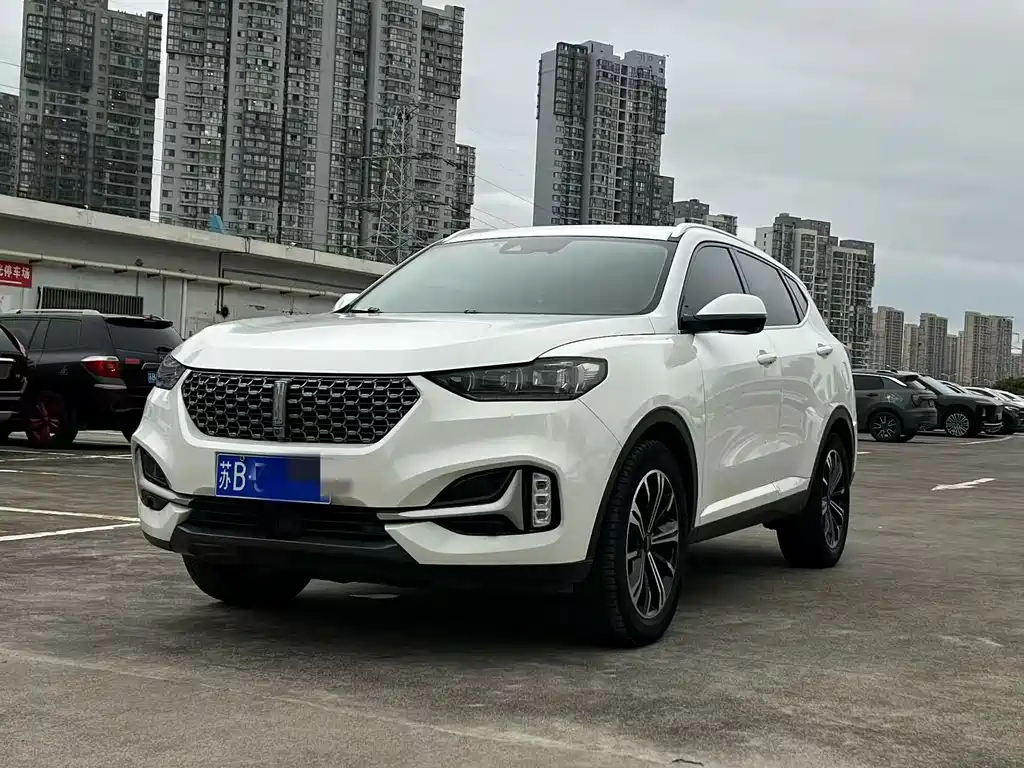 Wey Wey VV6