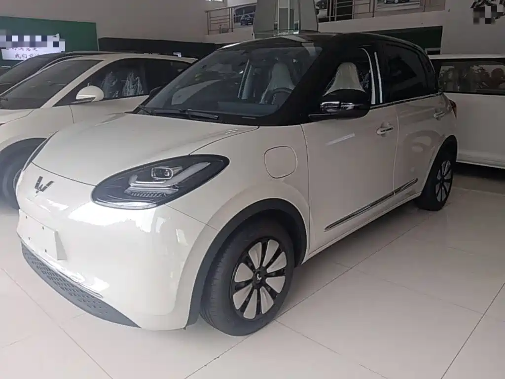 Wuling Bingo