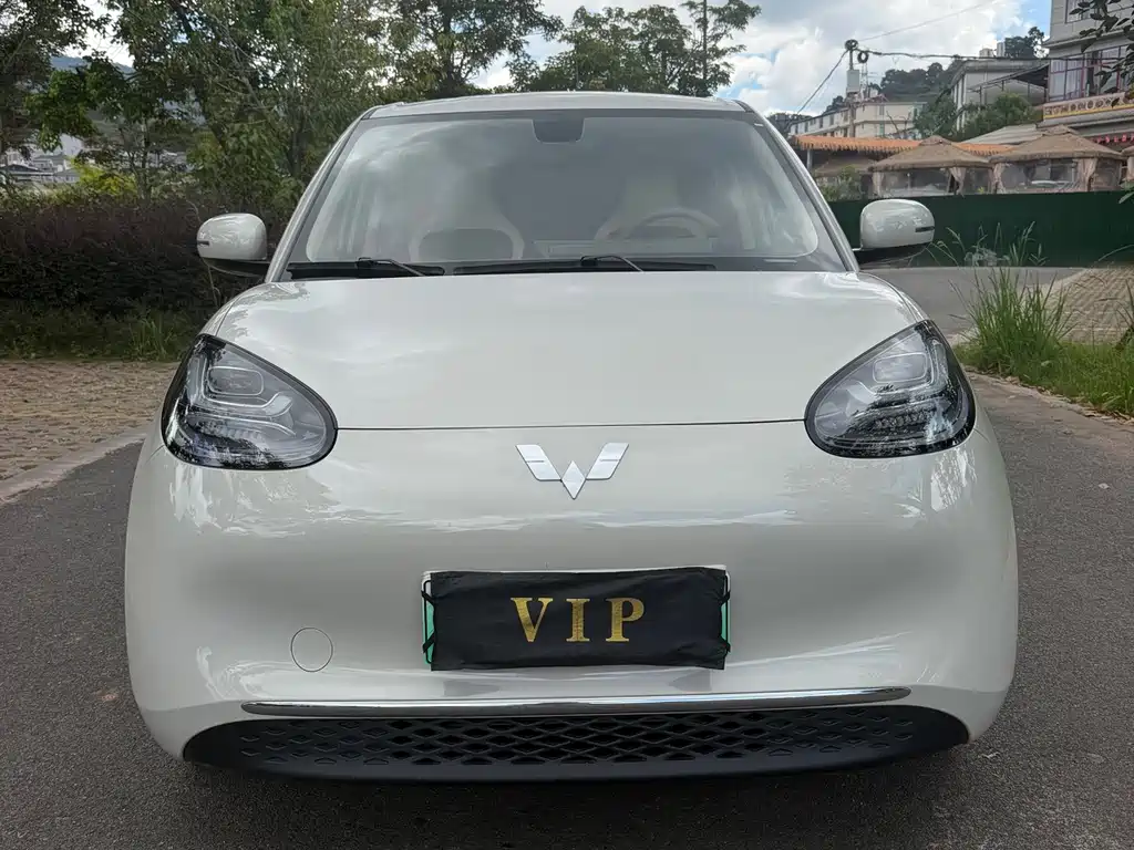 Wuling Bingo