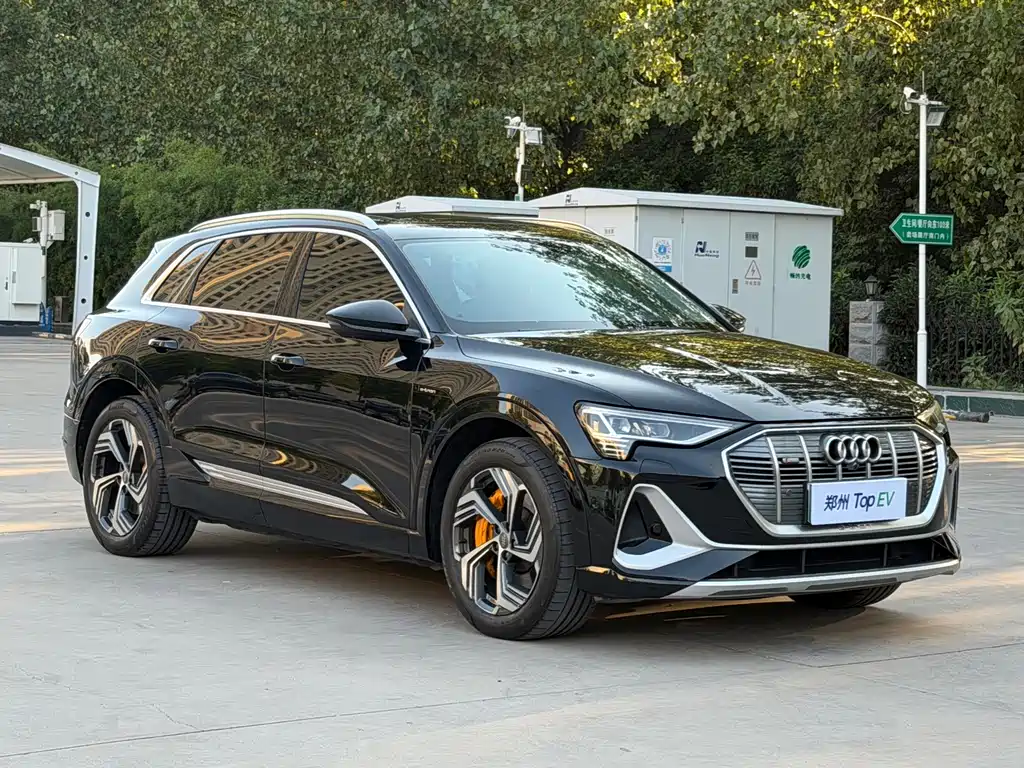 Audi e-tron — фото 3