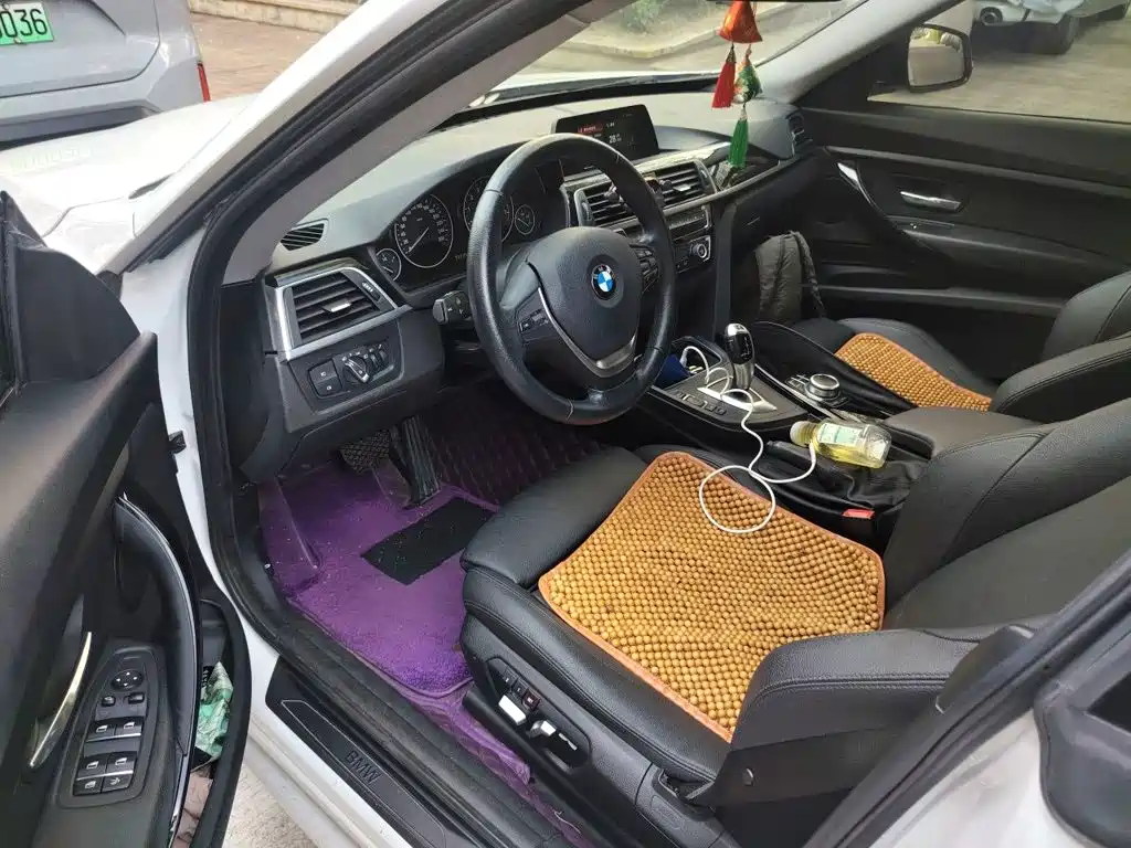 BMW 3 Series GT — фото 17