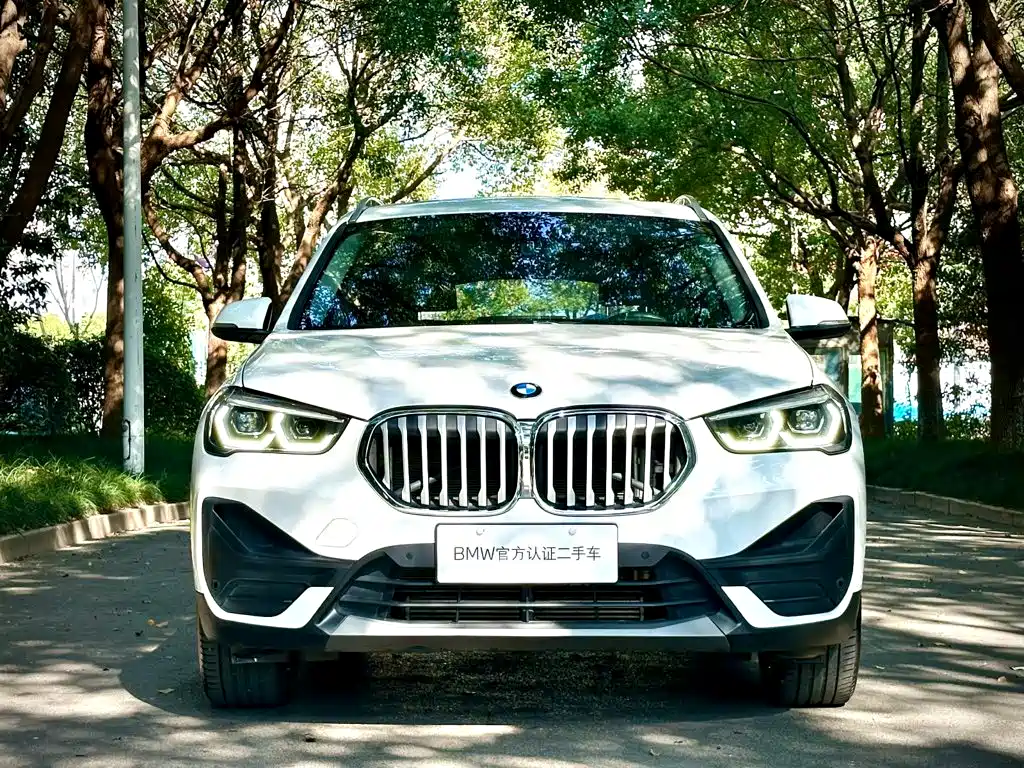 BMW X1 — фото 2