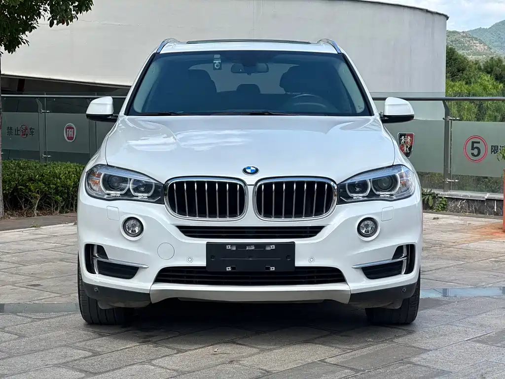 BMW X5 (Import) — фото 2