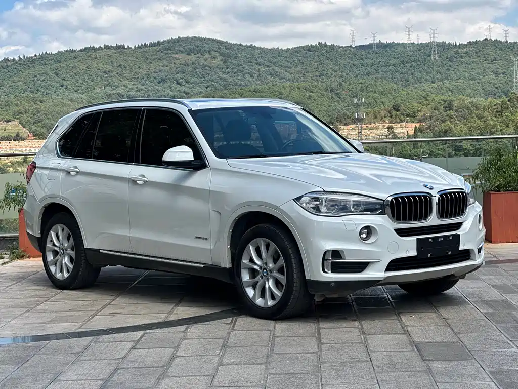 BMW X5 (Import) — фото 3
