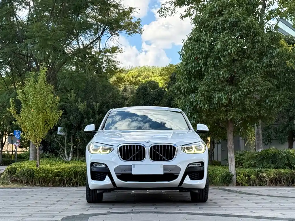 BMW X4 — фото 2