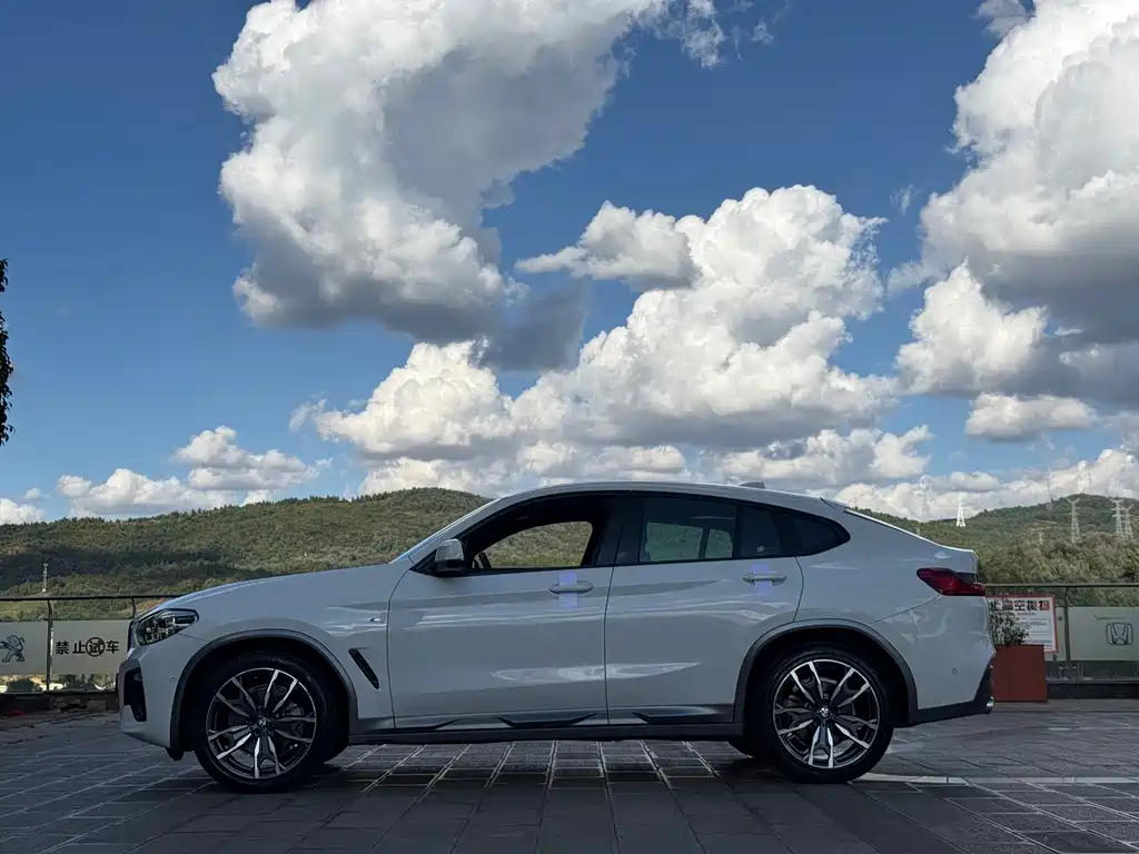 BMW X4 — фото 10