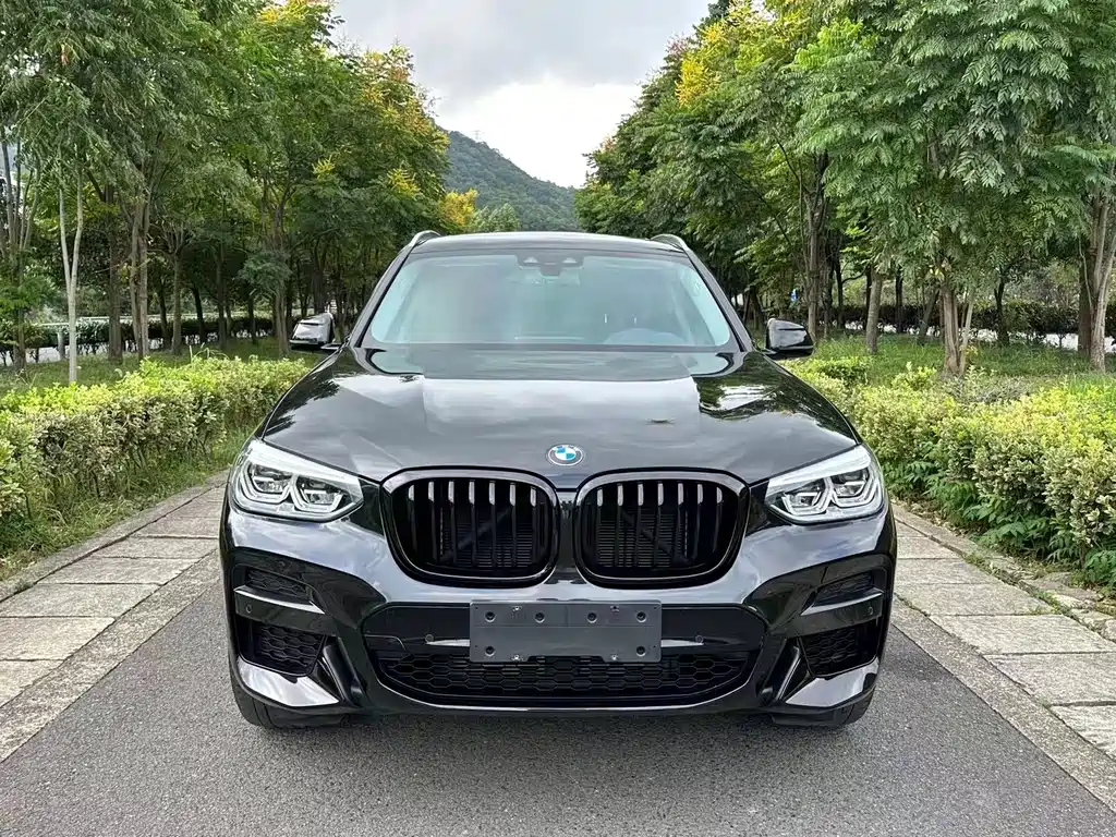 BMW X3 — фото 2