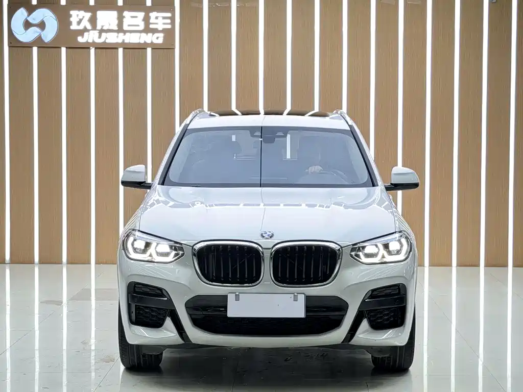BMW X3 — фото 2