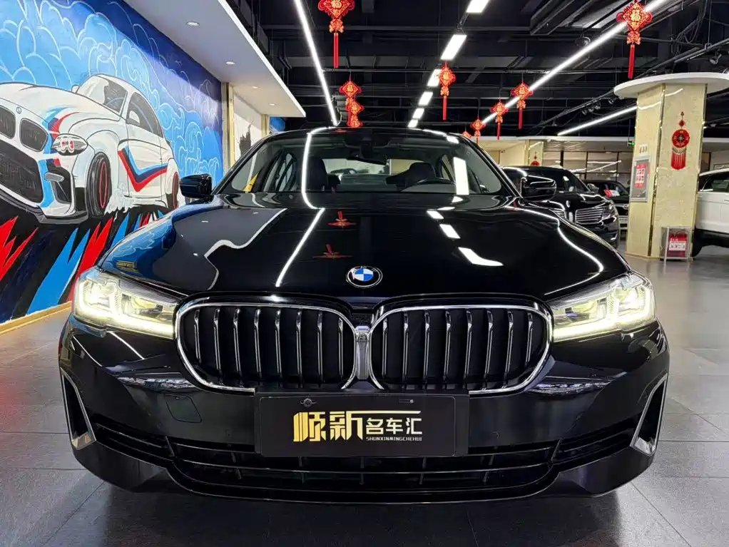 BMW 5 Series New Energy — фото 2