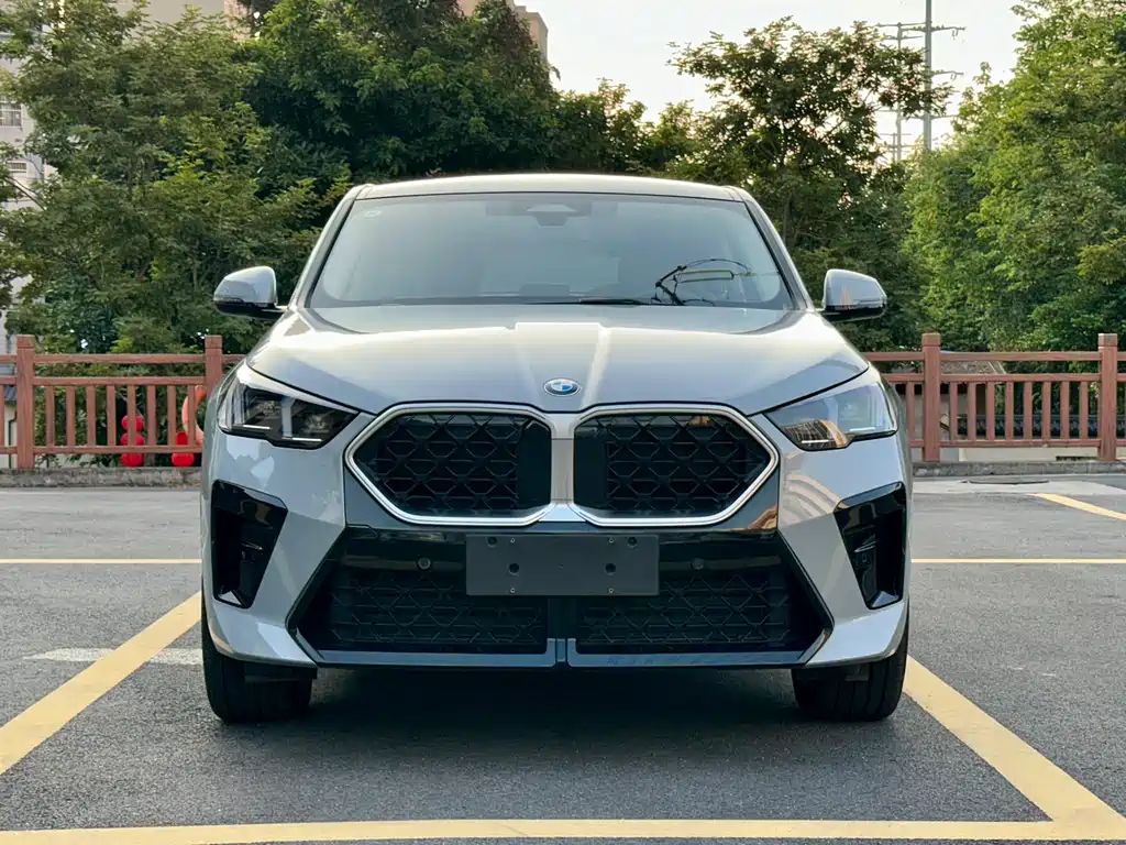 BMW X2 (Import) — фото 2