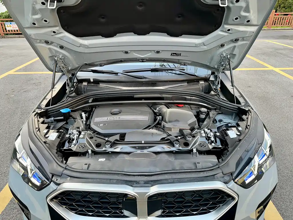 BMW X2 (Import) — фото 20