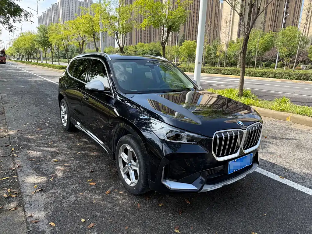 BMW X1 — фото 3