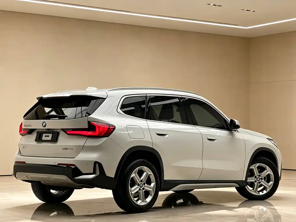 BMW X1 — фото 3