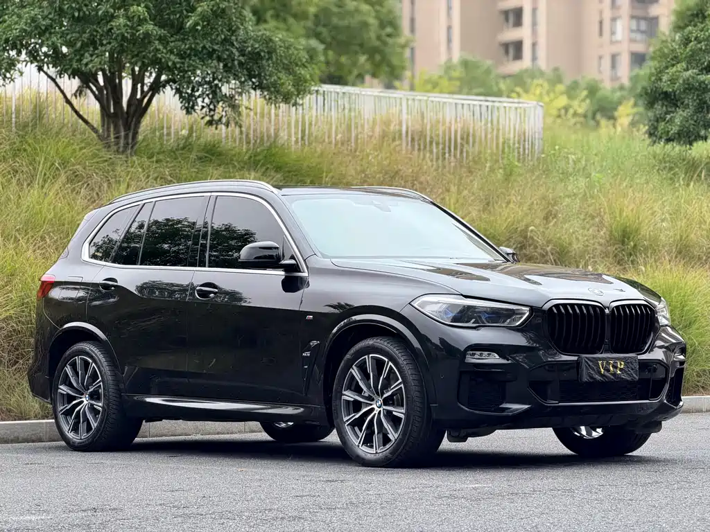 BMW X5 (Import) — фото 8