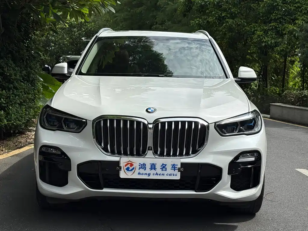 BMW X5 (Import) — фото 2
