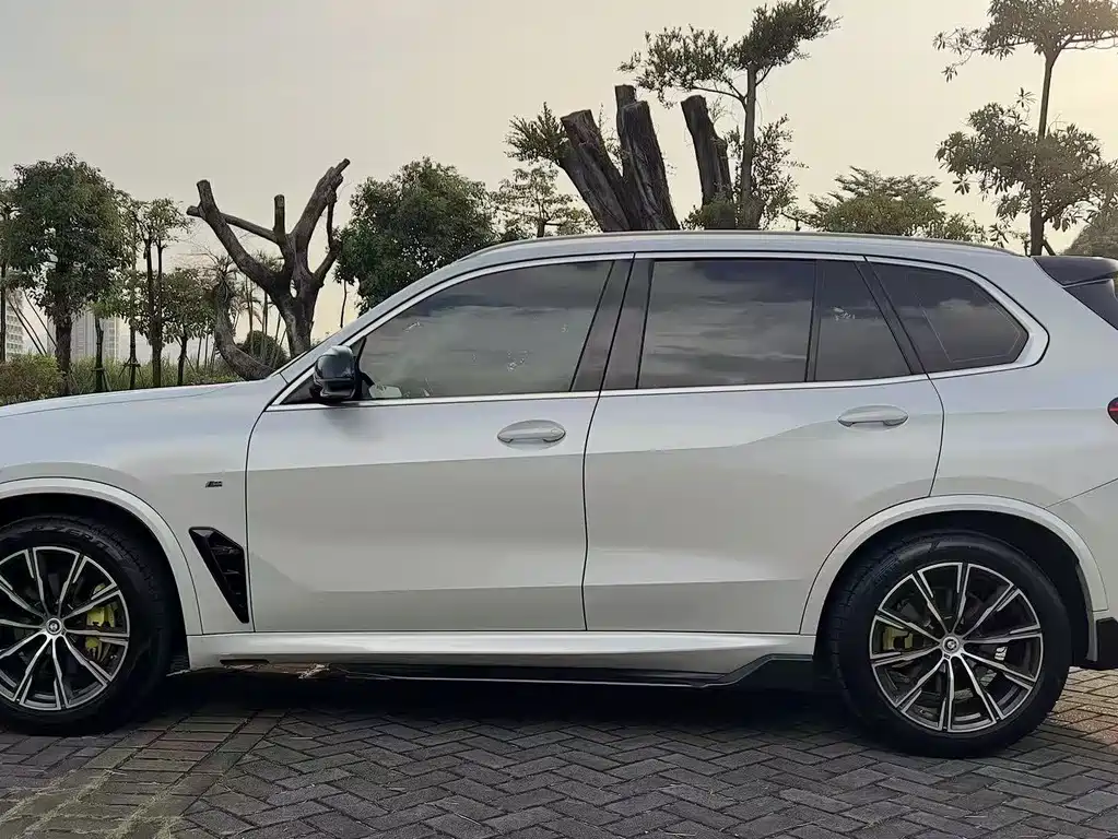 BMW X5 (Import) — фото 4
