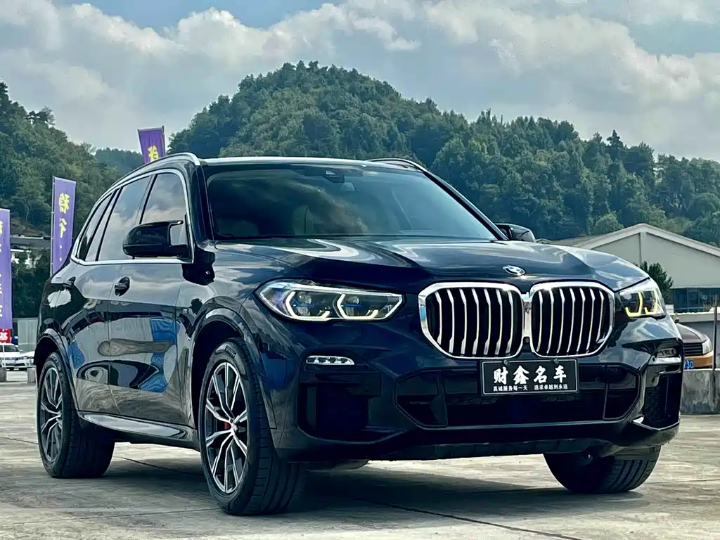 BMW X5 (Import) — фото 3