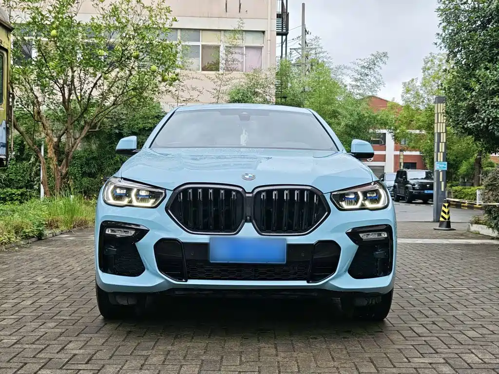 BMW X6 — фото 23