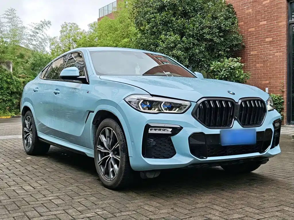 BMW X6 — фото 25