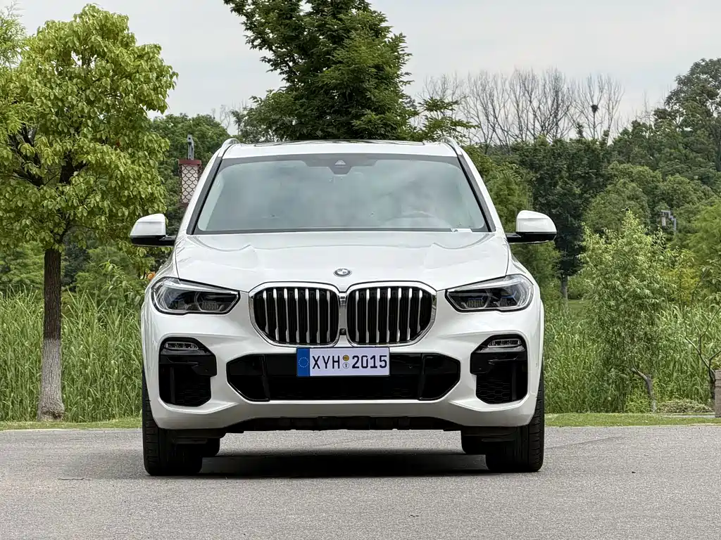 BMW X5 (Import) — фото 2