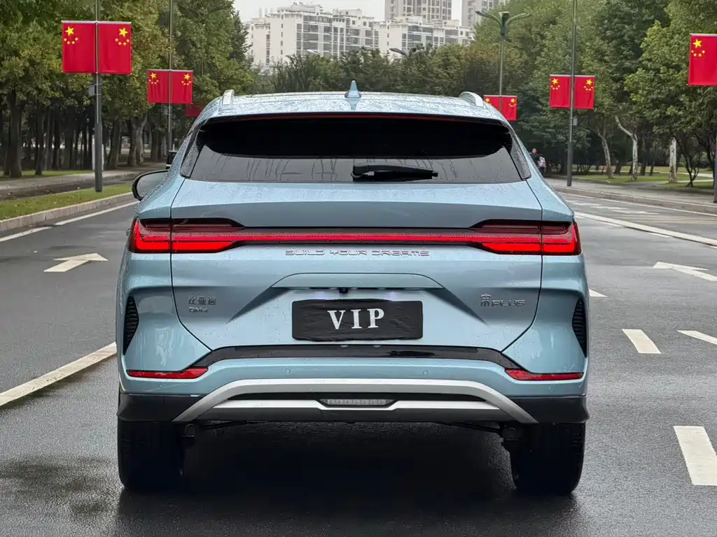 BYD PLUS New Energy — фото 8