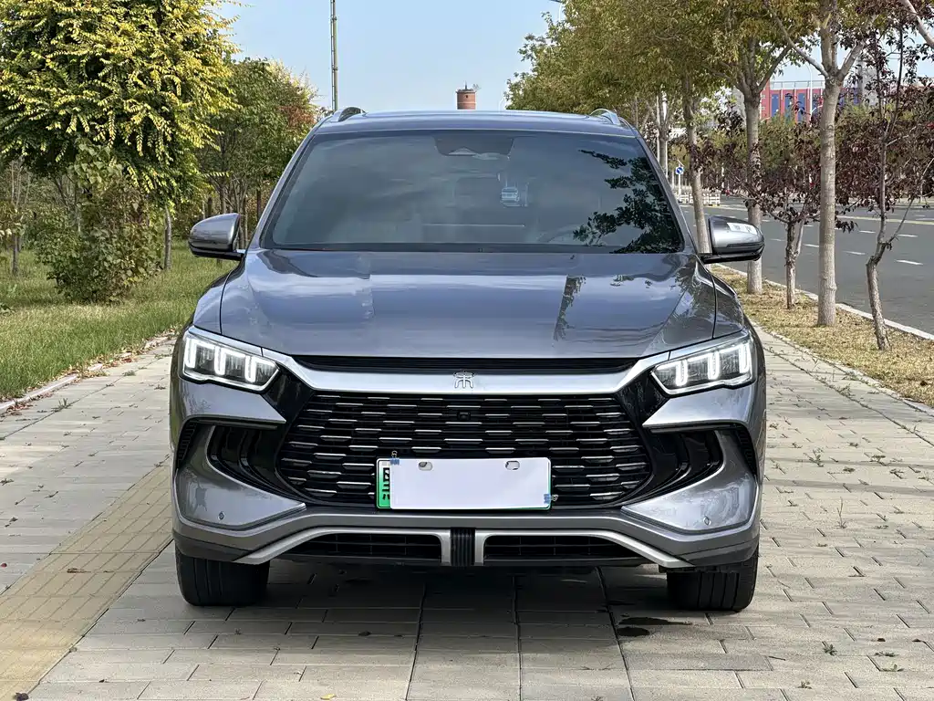 BYD Pro New Energy — фото 2