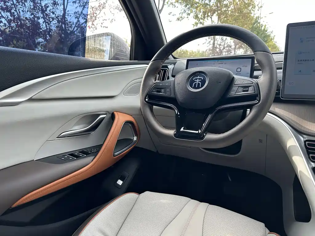 BYD Pro New Energy — фото 13