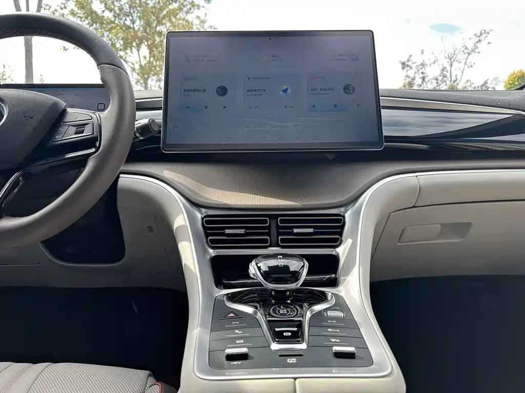 BYD Pro New Energy — фото 15