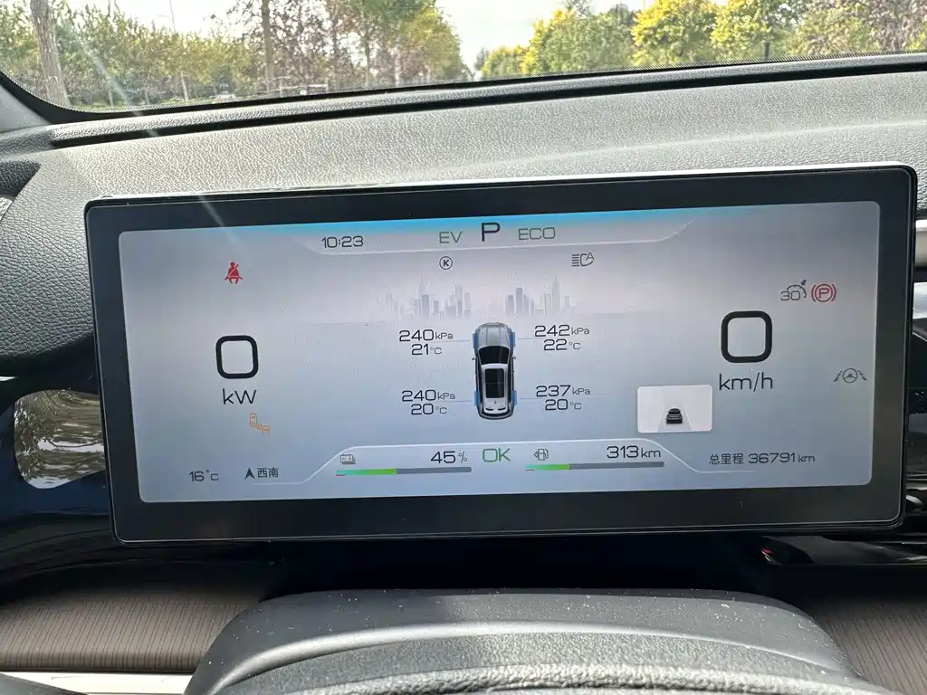 BYD Pro New Energy — фото 16