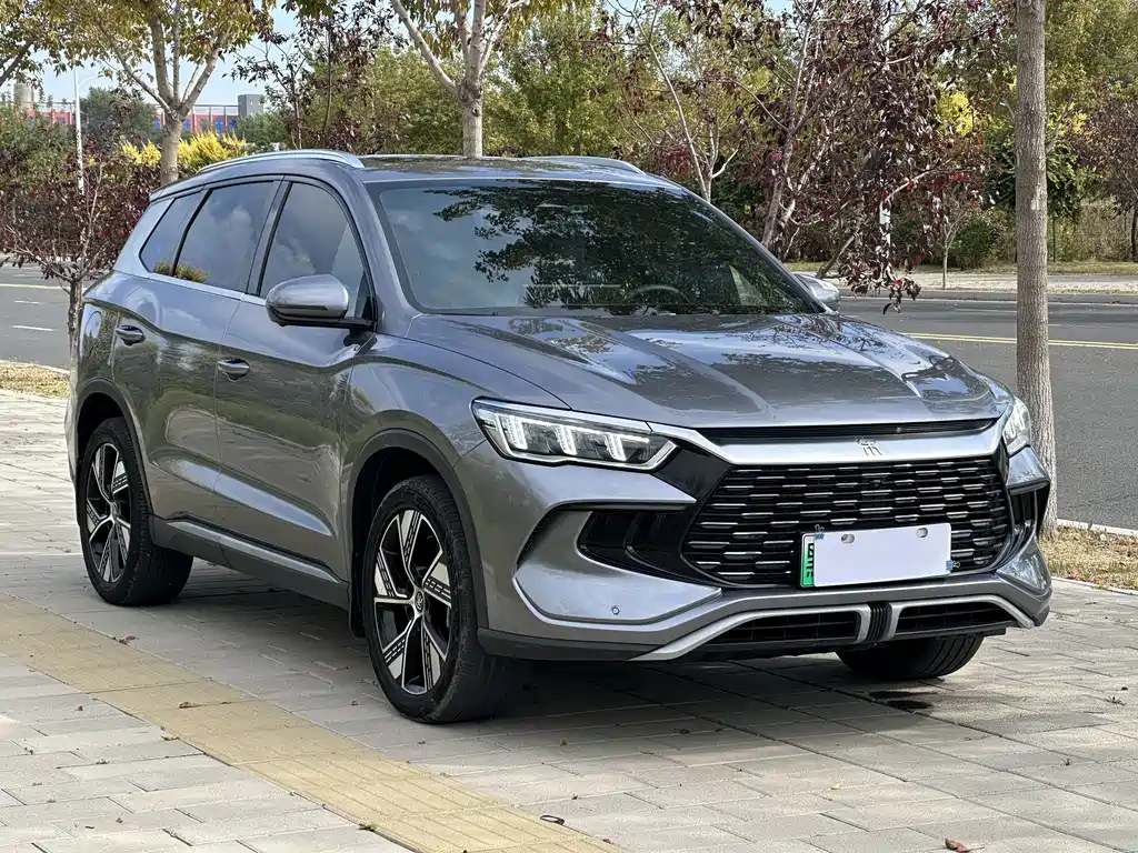 BYD Pro New Energy — фото 3