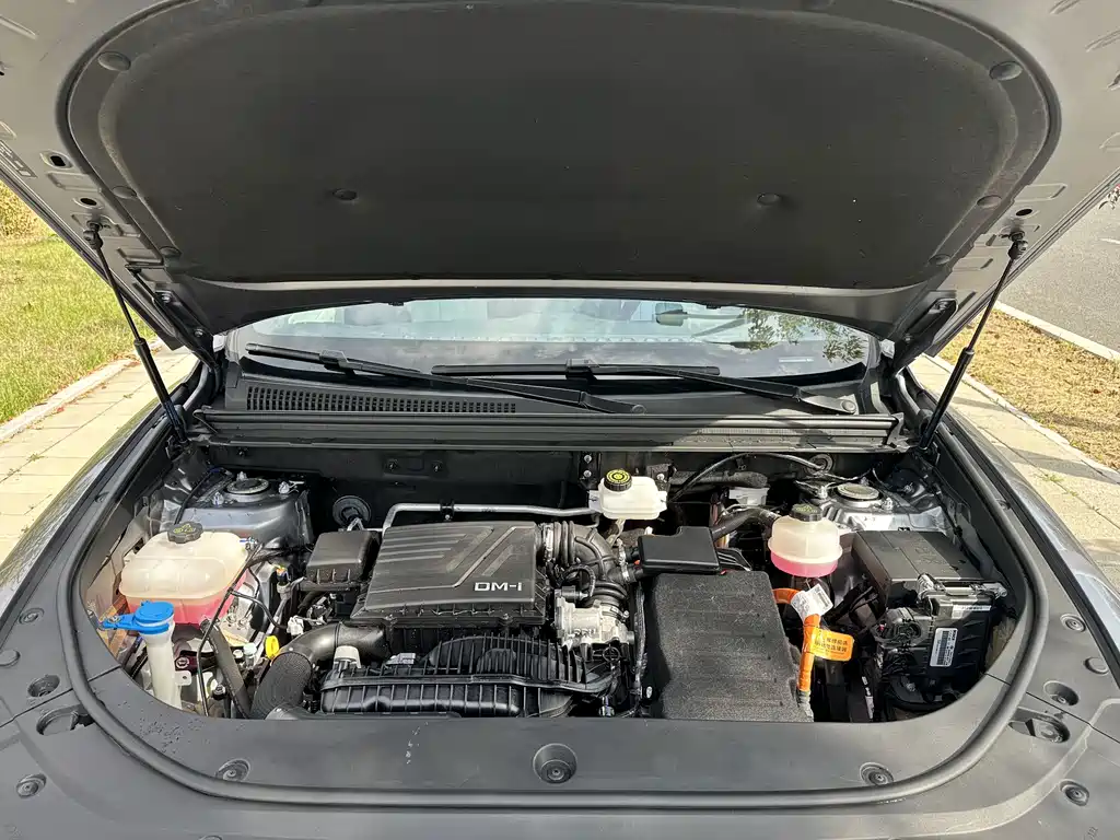 BYD Pro New Energy — фото 26