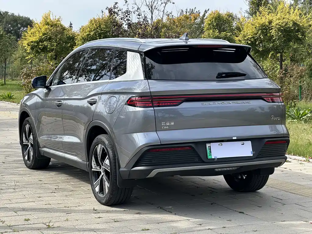 BYD Pro New Energy — фото 4