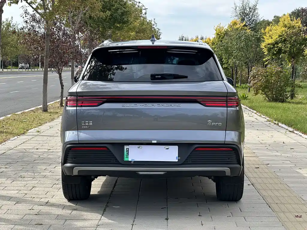 BYD Pro New Energy — фото 5