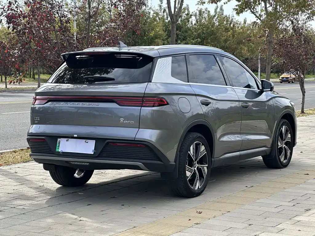 BYD Pro New Energy — фото 6