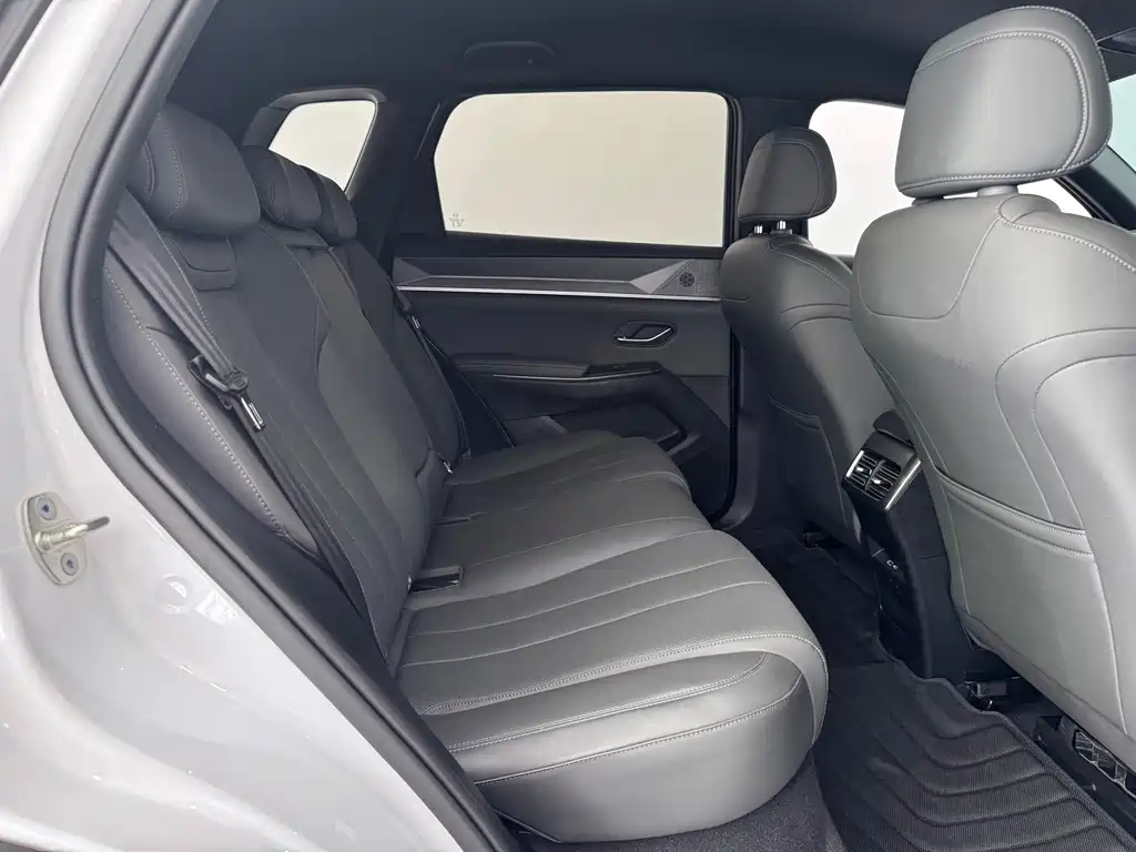 BYD Pro New Energy — фото 11