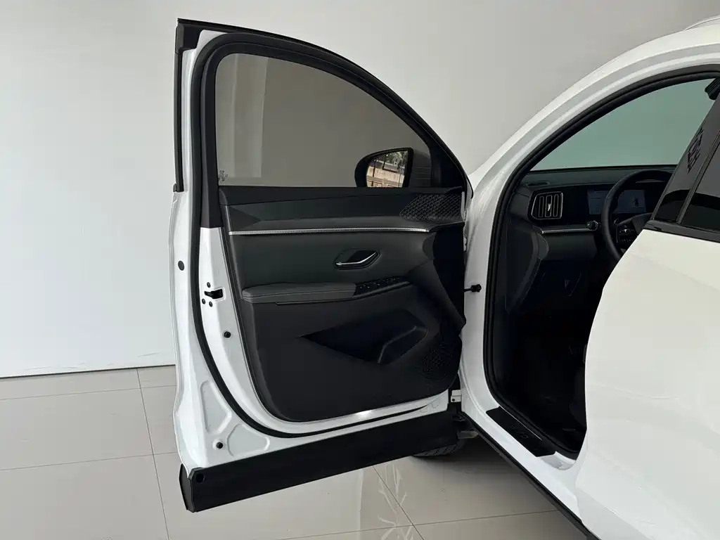 BYD Pro New Energy — фото 13