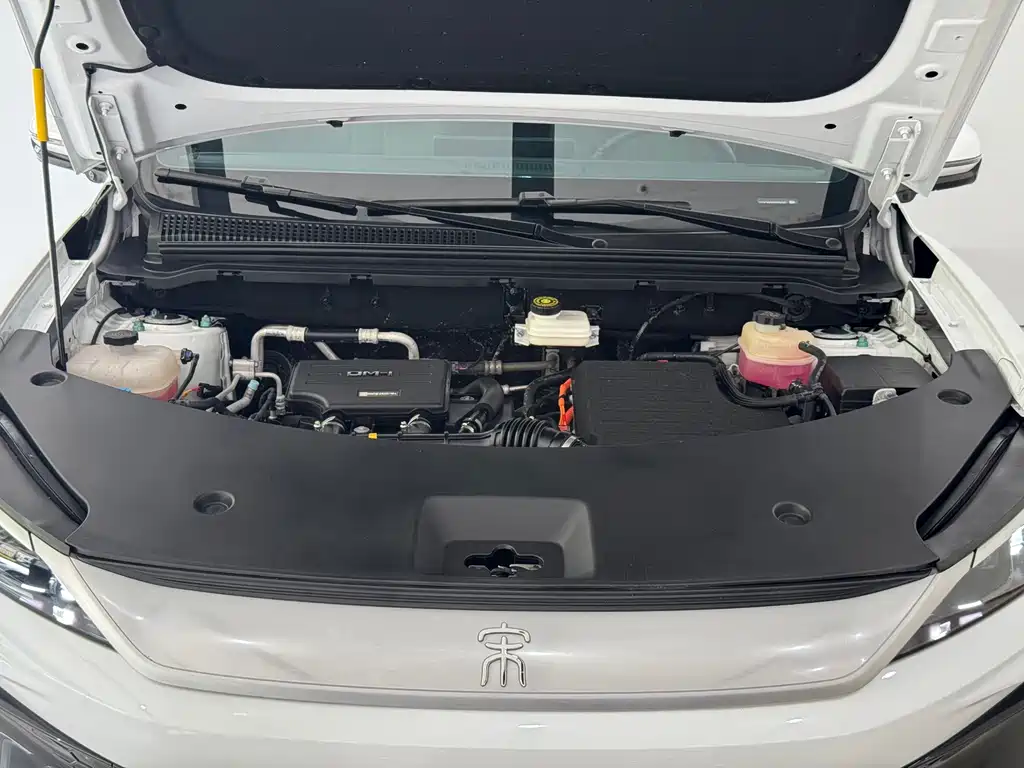BYD Pro New Energy — фото 4