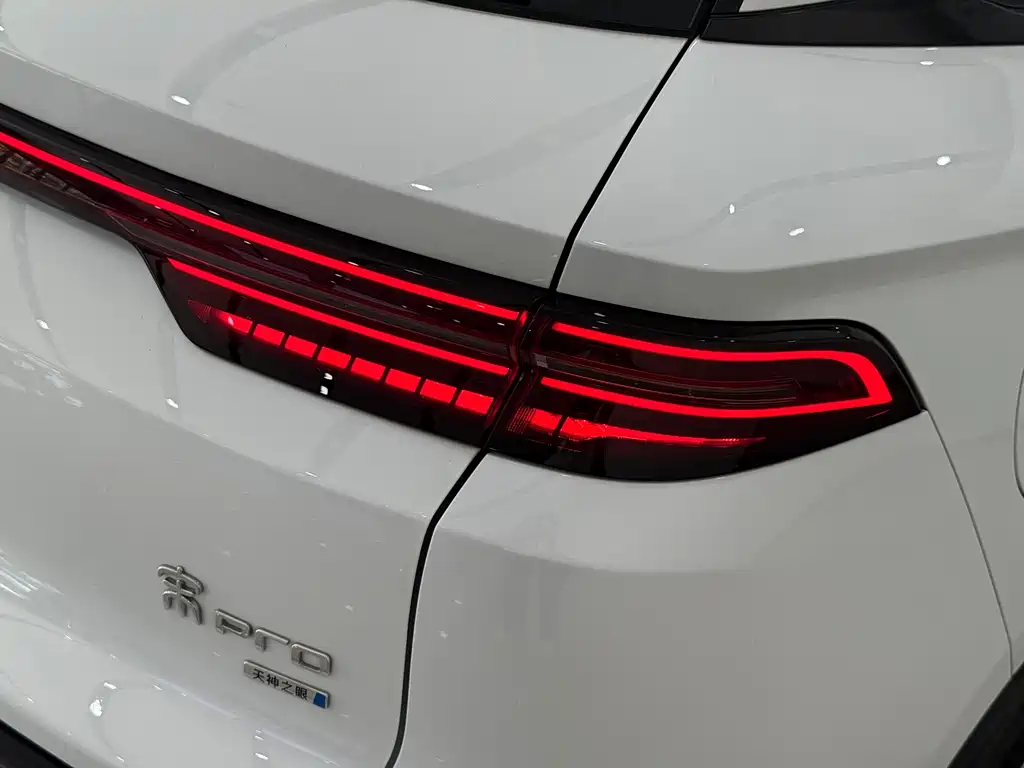 BYD Pro New Energy — фото 6