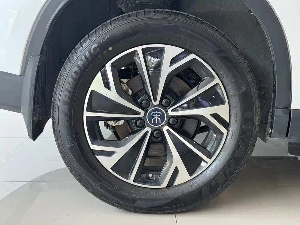 BYD Pro New Energy — фото 9