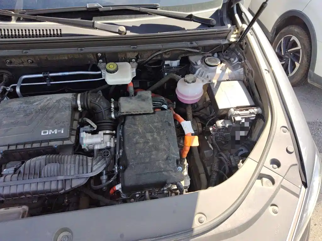 BYD Pro New Energy — фото 21