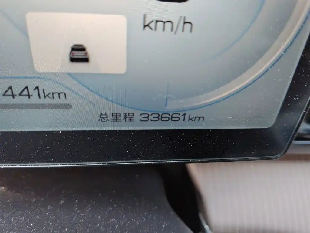 BYD Pro New Energy — фото 5