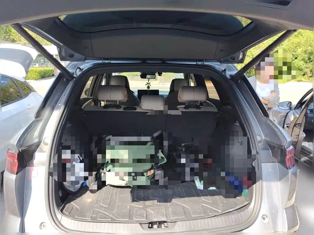 BYD Pro New Energy — фото 10