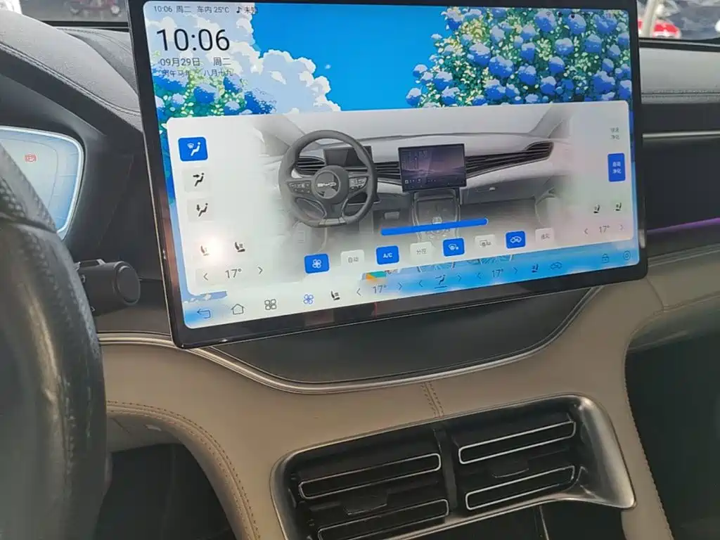 BYD PLUS New Energy — фото 13