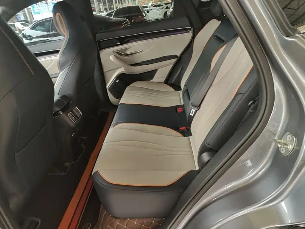 BYD PLUS New Energy — фото 17