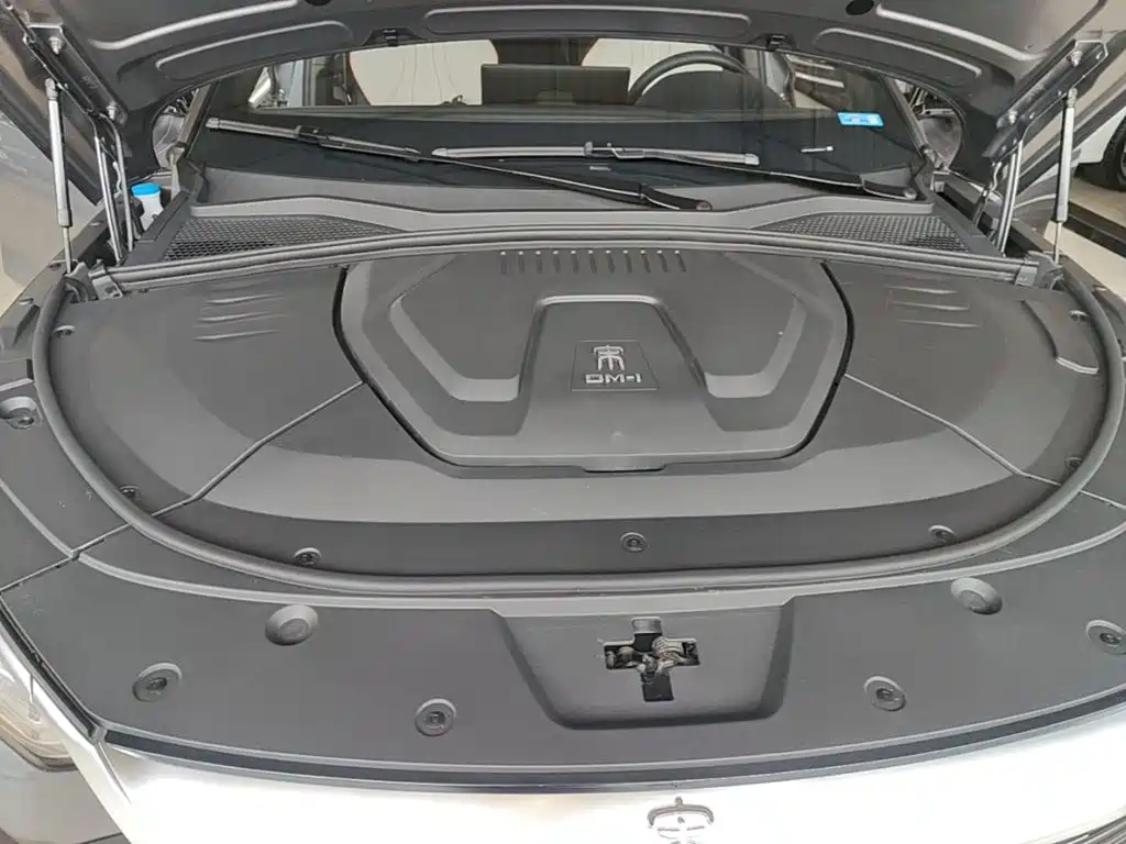 BYD PLUS New Energy — фото 20