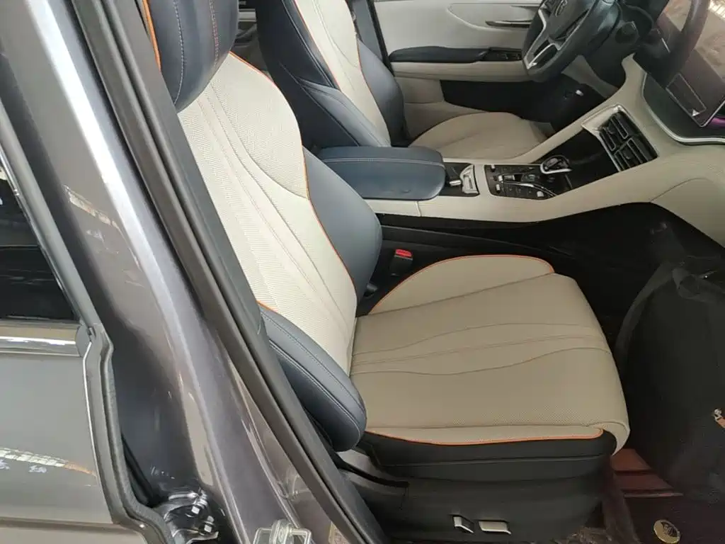 BYD PLUS New Energy — фото 25