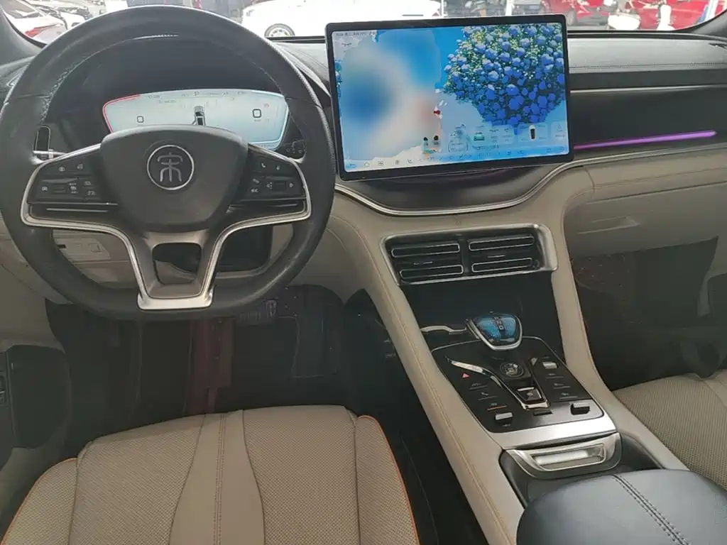 BYD PLUS New Energy — фото 10