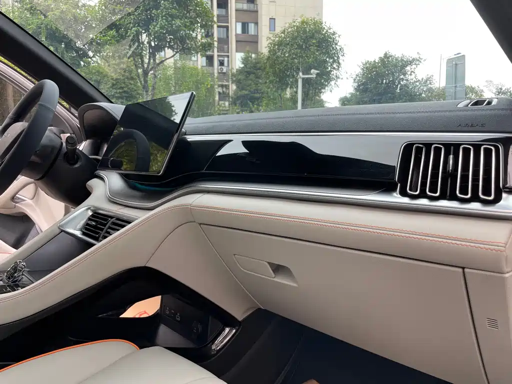 BYD PLUS New Energy — фото 14