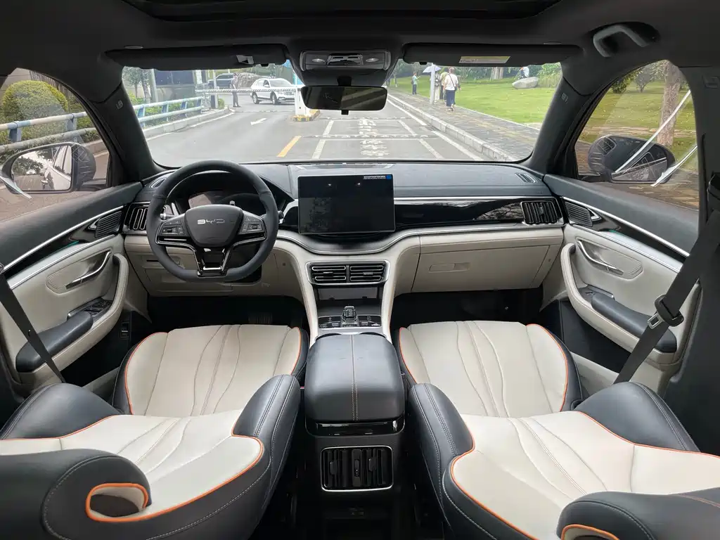 BYD PLUS New Energy — фото 19