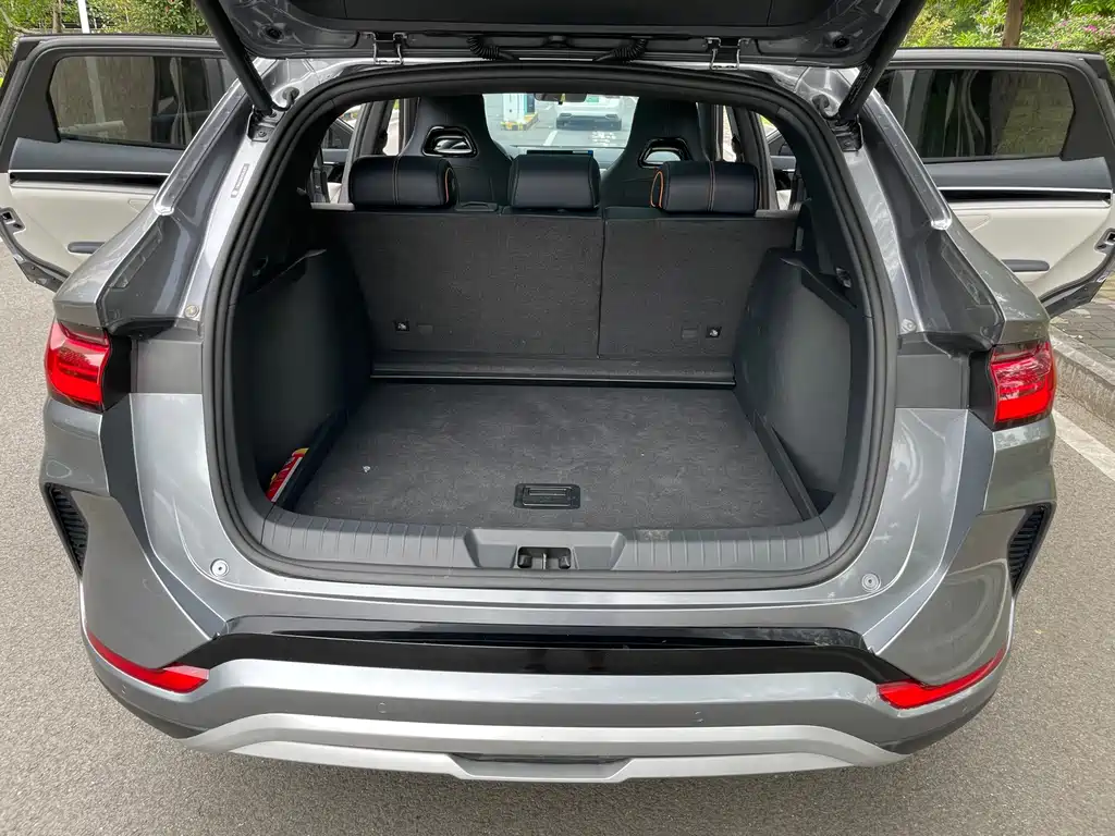 BYD PLUS New Energy — фото 20